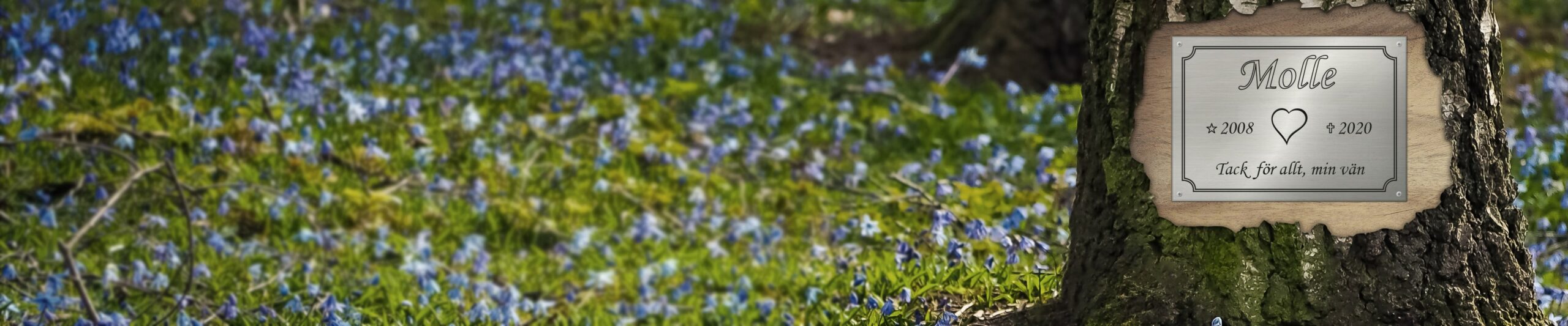 Minnesskyltar för husdjur