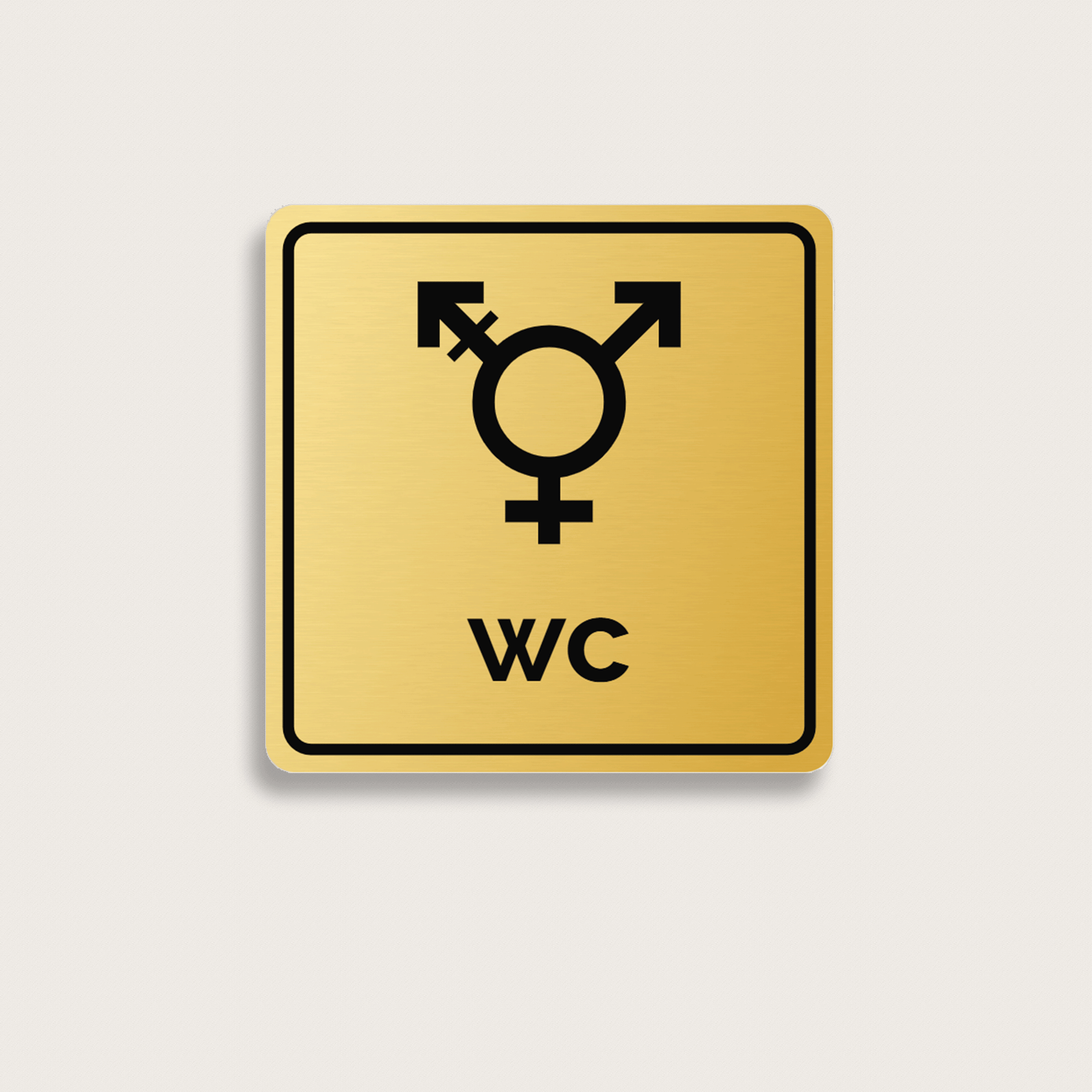 Toilettenschild WC Transgender aus Messing 100 x 100 mm